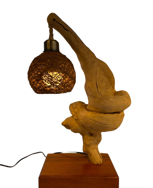 Handcrafted Natural Root Lamp, Olive Wood Designer, Driftwood Table Lamp, Wire Stringed in the Wood