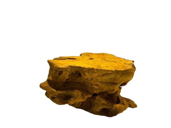 Natural Golden Silk Eucommia Wood Stand / 1.94 lb – Elegant Display for Bonsai, Tea Sets, and Art Pieces