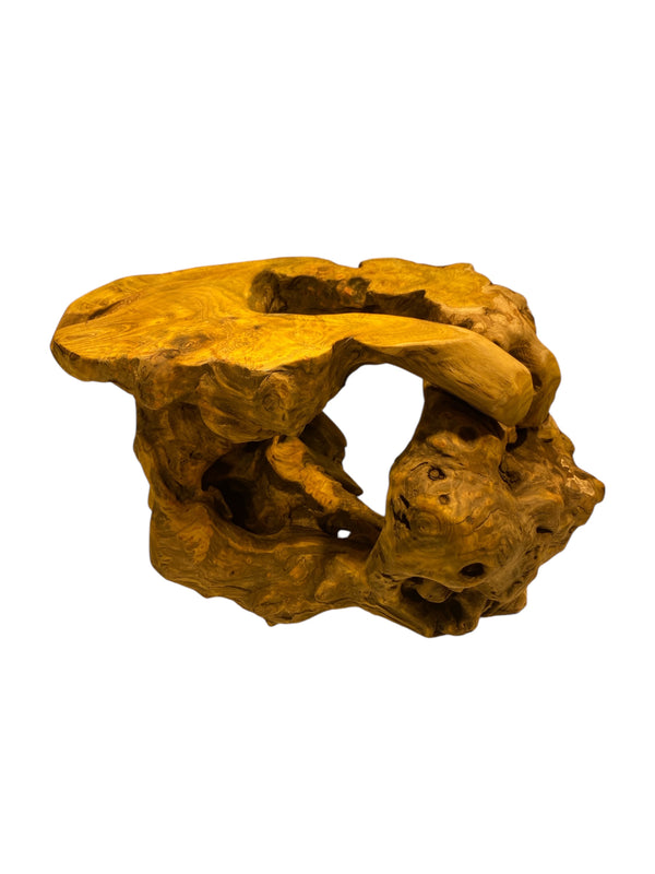 Natural Golden Silk Eucommia Wood Stand / 4.48 lb – Elegant Display for Bonsai, Tea Sets, and Art Pieces