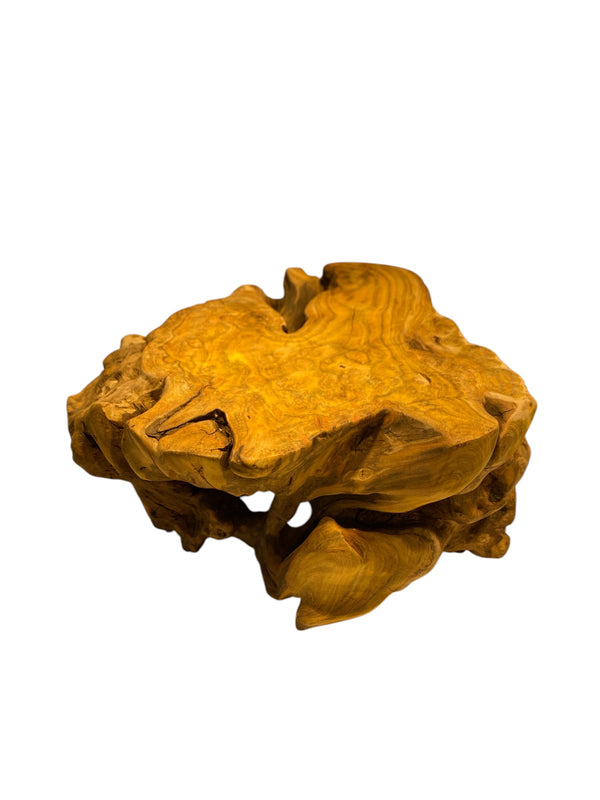 Natural Golden Silk Eucommia Wood Stand / 2.9 lb – Elegant Display for Bonsai, Tea Sets, and Art Pieces