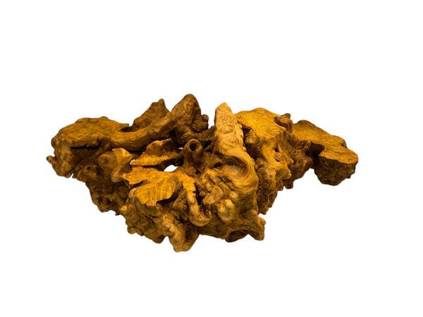 (SOLD) Natural Golden Silk Eucommia Wood Stand / 9.1 lb – Elegant Display for Bonsai, Tea Sets, and Art Pieces
